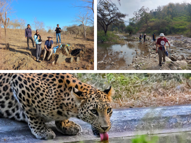 TREKKING AND LEOPARD SAFARI TOUR